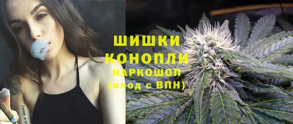 гидра Вязники