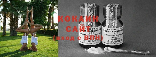 гидра Вязники
