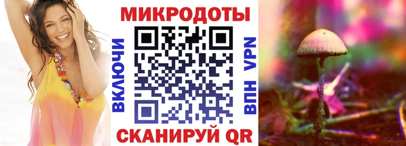 Галлюциногенные грибы Psilocybe  мега вход  Меленки 